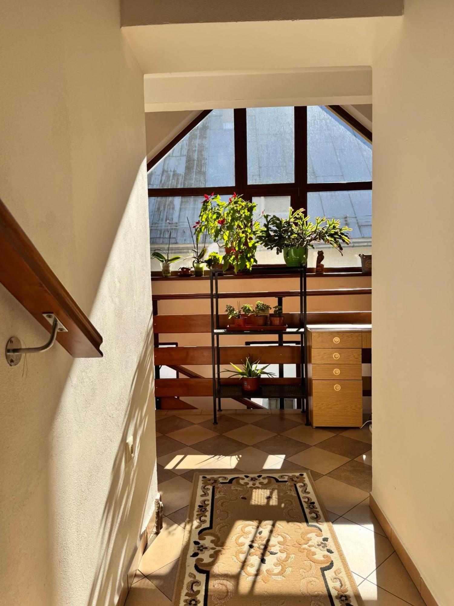 Apartmany Kenka سبيشسكا ستارا فيس المظهر الخارجي الصورة